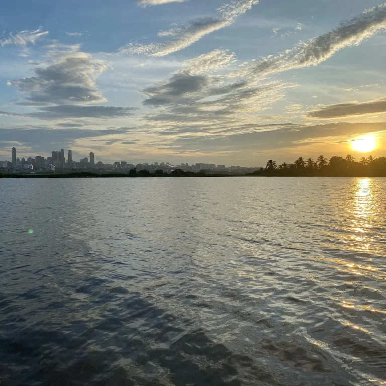 Vista de Barranquilla desde el Río Magdalena, mostrando su skyline y entorno natural.