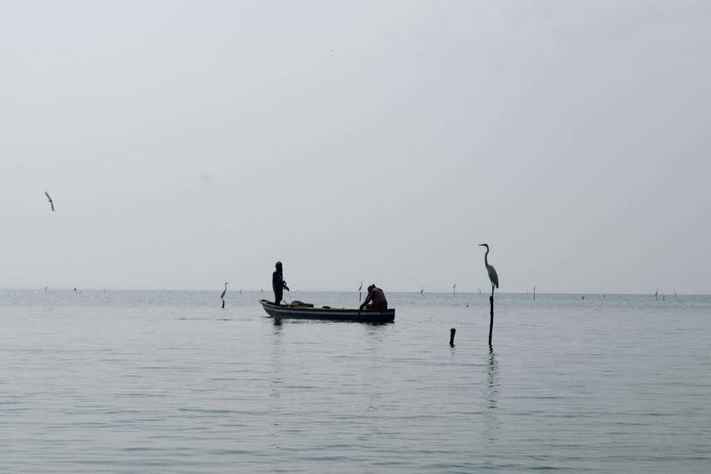 Pesca artesanal Pueblos Palafito: vida y sustento en las aguas costeras.