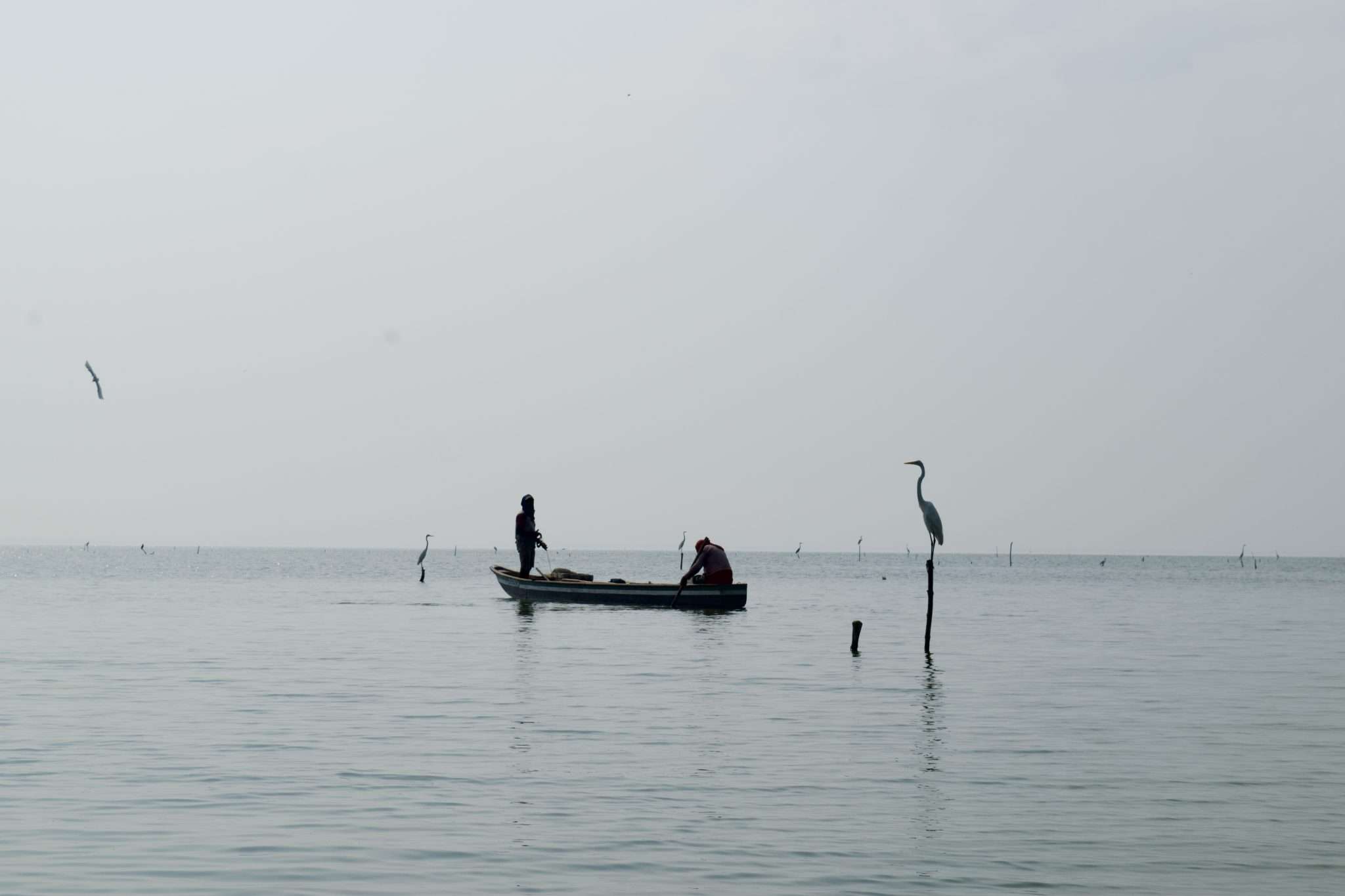 Pesca artesanal Pueblos Palafito: vida y sustento en las aguas costeras.