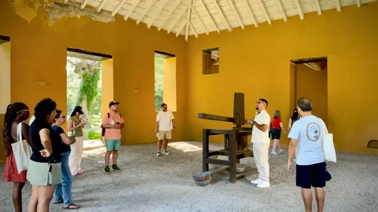 Tour Quinta de San Pedro Santa Marta