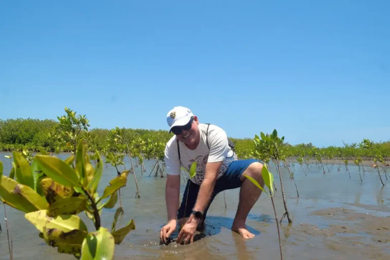 Experiencia siembra de Mangle en Barranquilla