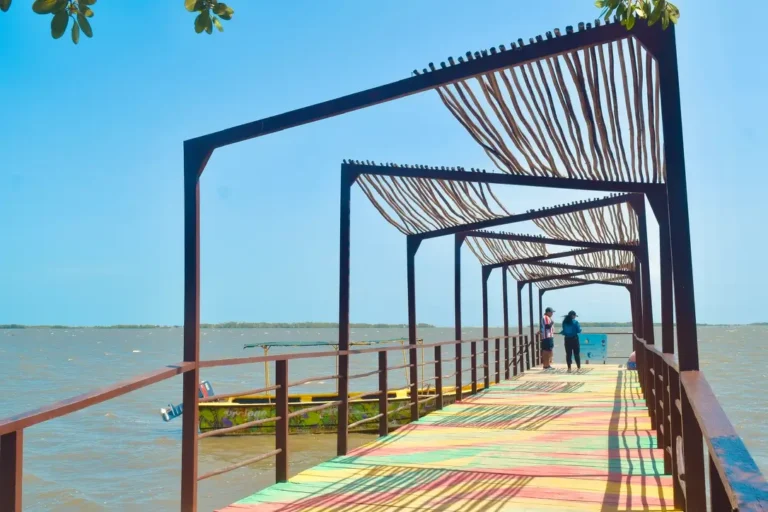 Muelle siembra de mangle Barranquilla