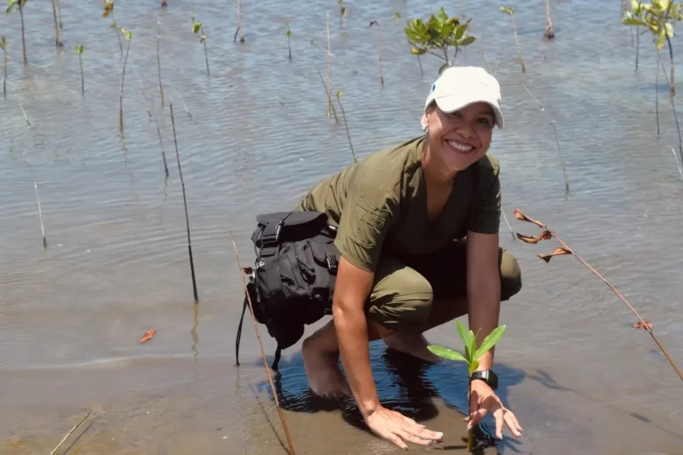Siembra de mangle ecoparque Cienaga de Mallorquin Barranquilla